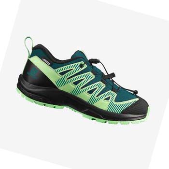 Tenis Para Trail Running Salomon XA PRO V8 CLIMASALOMON™ WATERPROOF Niños Verdes | MX 2021OKI